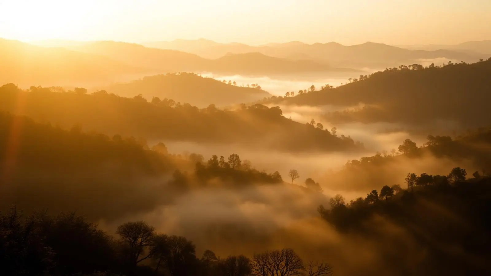 cult-misty-hills